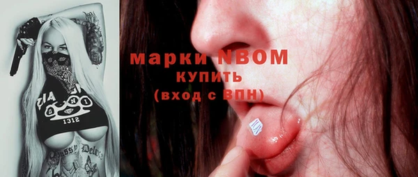 дмт Алексин
