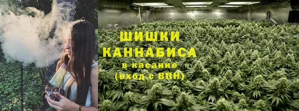 Альфа ПВП Алзамай