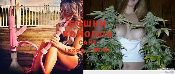 spice Новодвинск