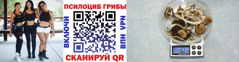 Галлюциногенные грибы Psilocybine cubensis  Цимлянск 